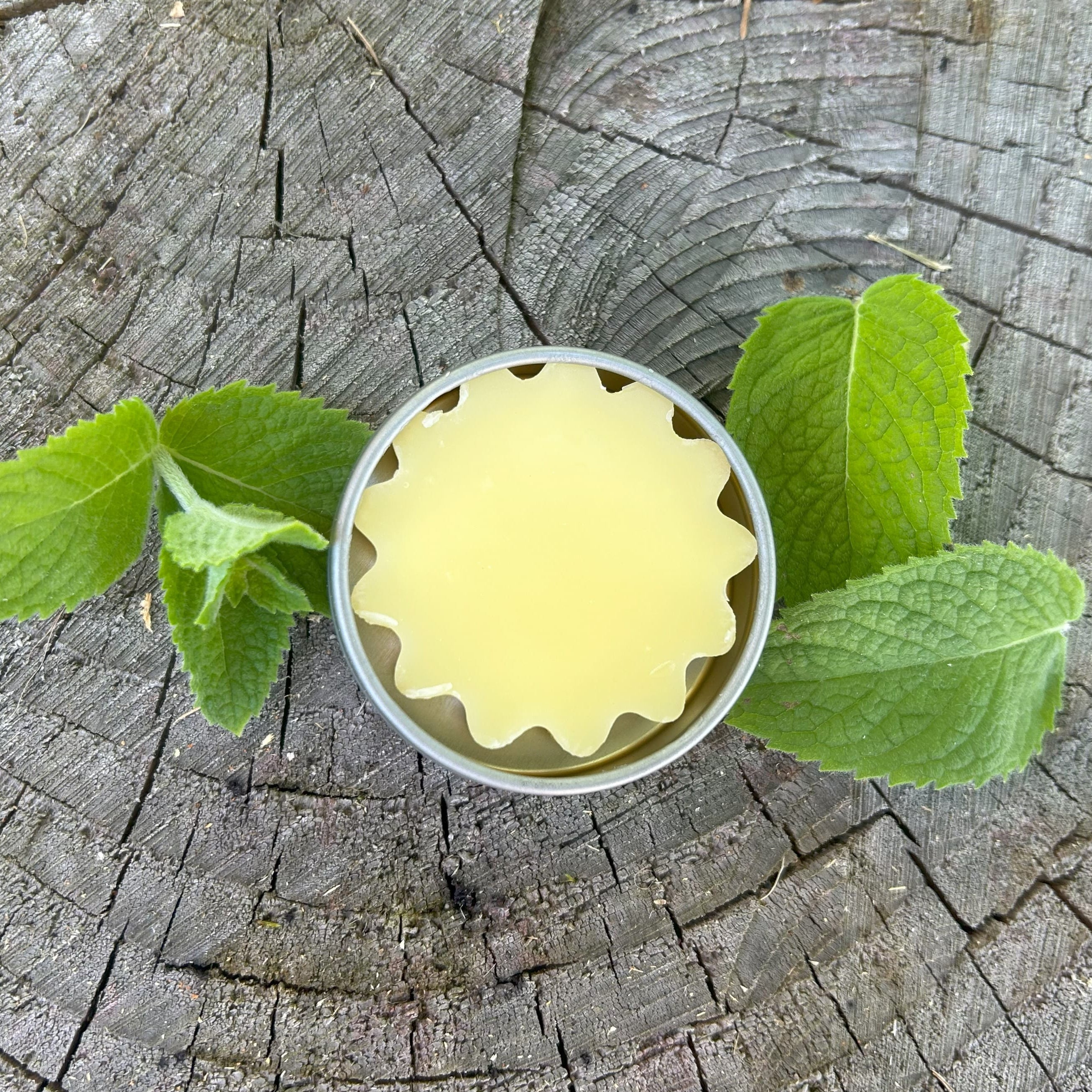 Foot Balm open container on a wooden surface with mint leaves beside by Garden Path Homemade Soap. 100% Natural Ingredients | Intense Moisturizer