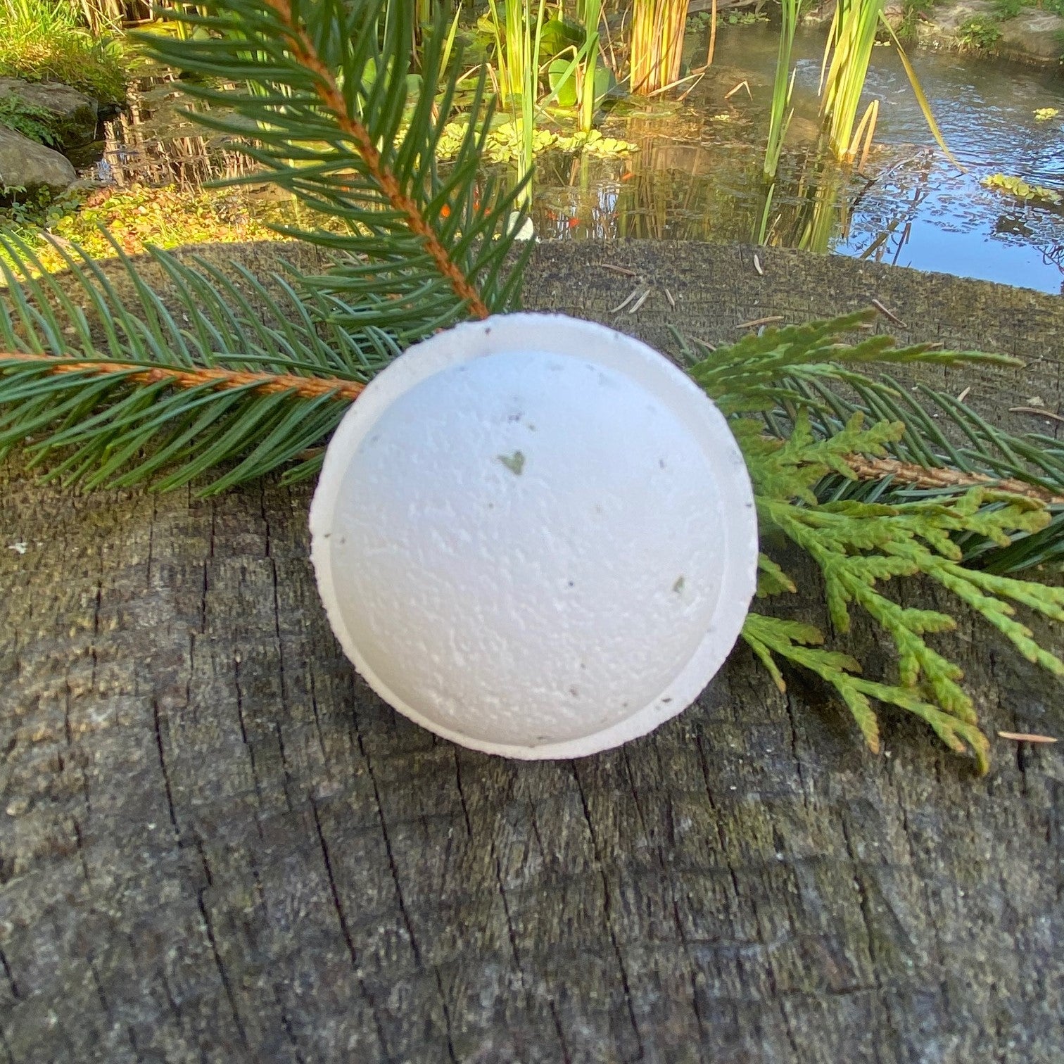 A Boreal Bliss Bath Bomb with a round shape placed on a wooden surface, surrounded by green pine needles and cedar branches by Garden Path Homemade Soap