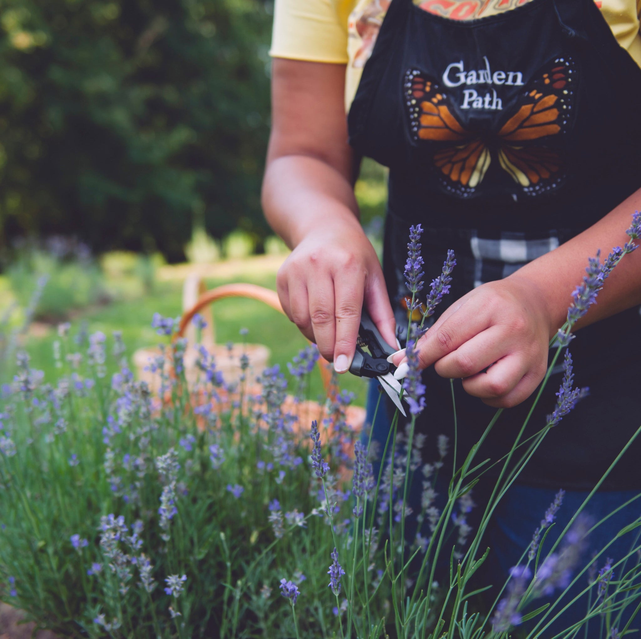 We ♥ Lavender