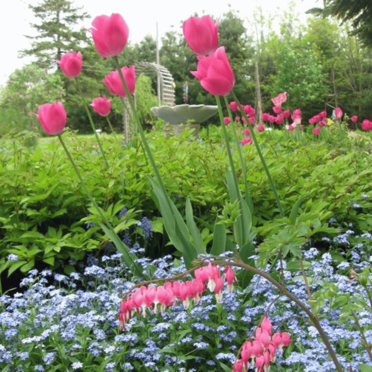 May Showers Bring June Flowers?