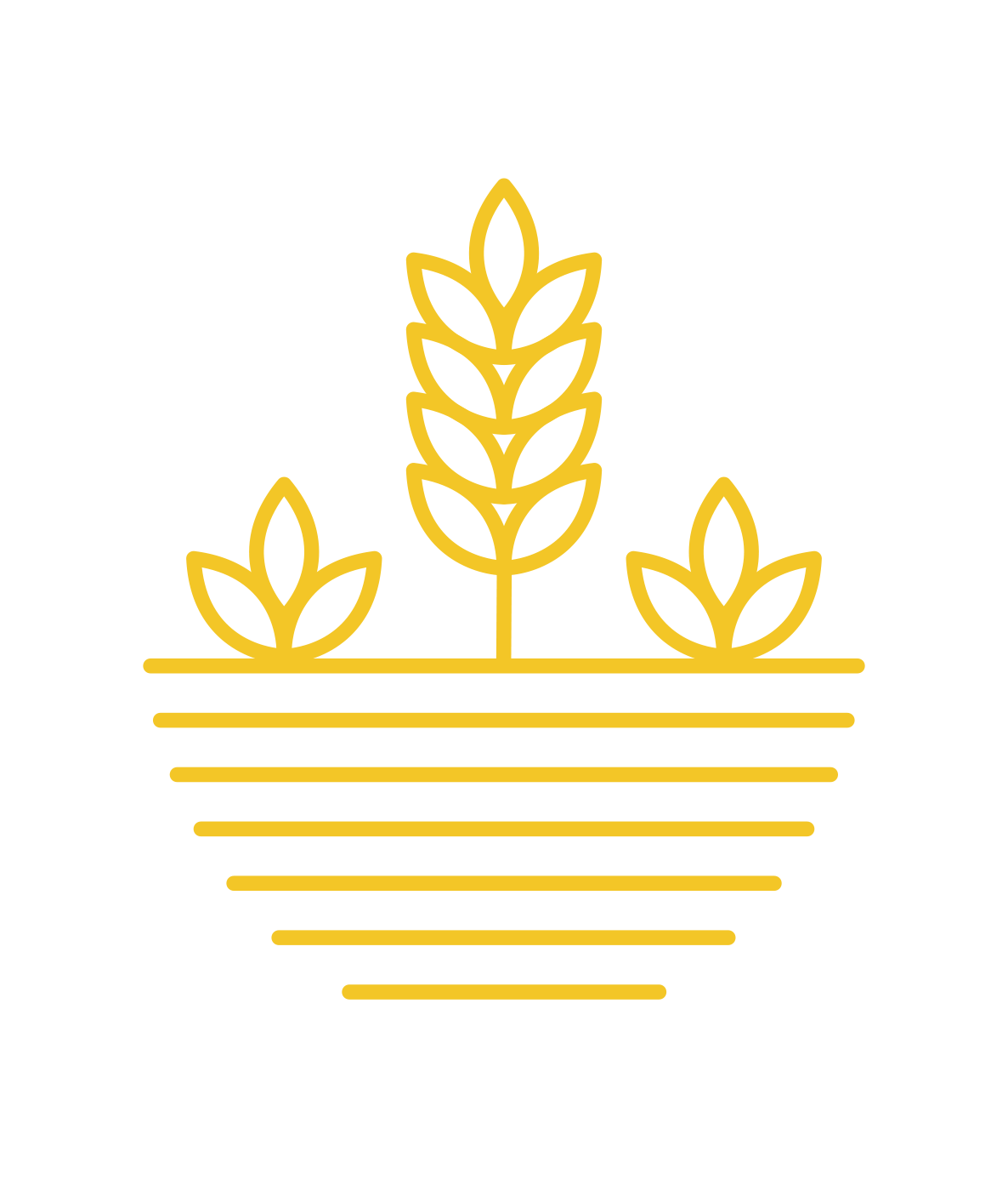 Unboxed Market Logo