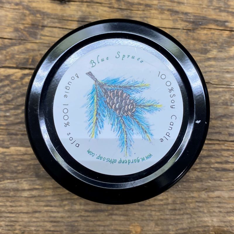 Blue Spruce Soy Candle (small) - Garden Path Homemade Soaps